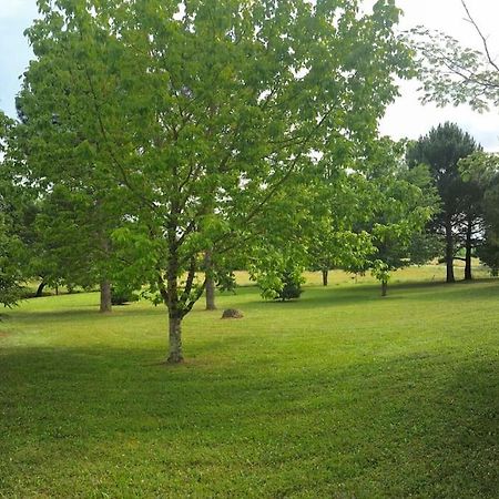 Une Pause Nature Chez Marion Et Cedric Montignac-Toupinerie Zewnętrze zdjęcie